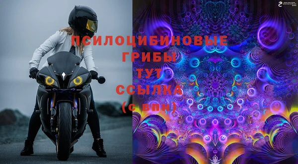 хмурый Верхний Тагил