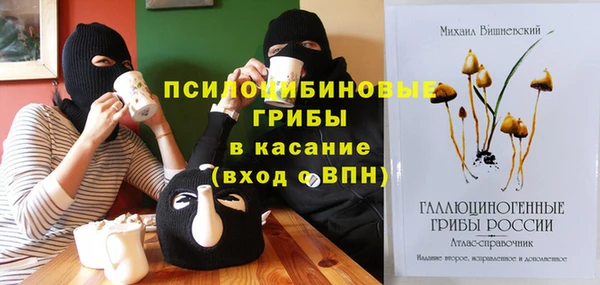 хмурый Верхний Тагил