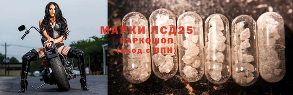 спайс Верея
