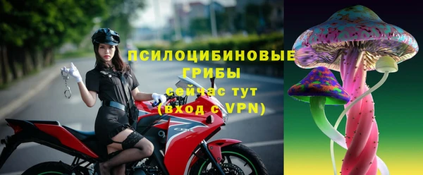 спайс Верея
