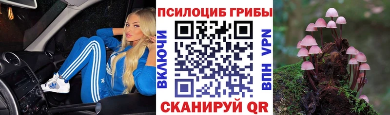 Галлюциногенные грибы MAGIC MUSHROOMS  Ленинградская 
