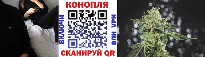 что такое   Ленинградская  Шишки марихуана планчик 